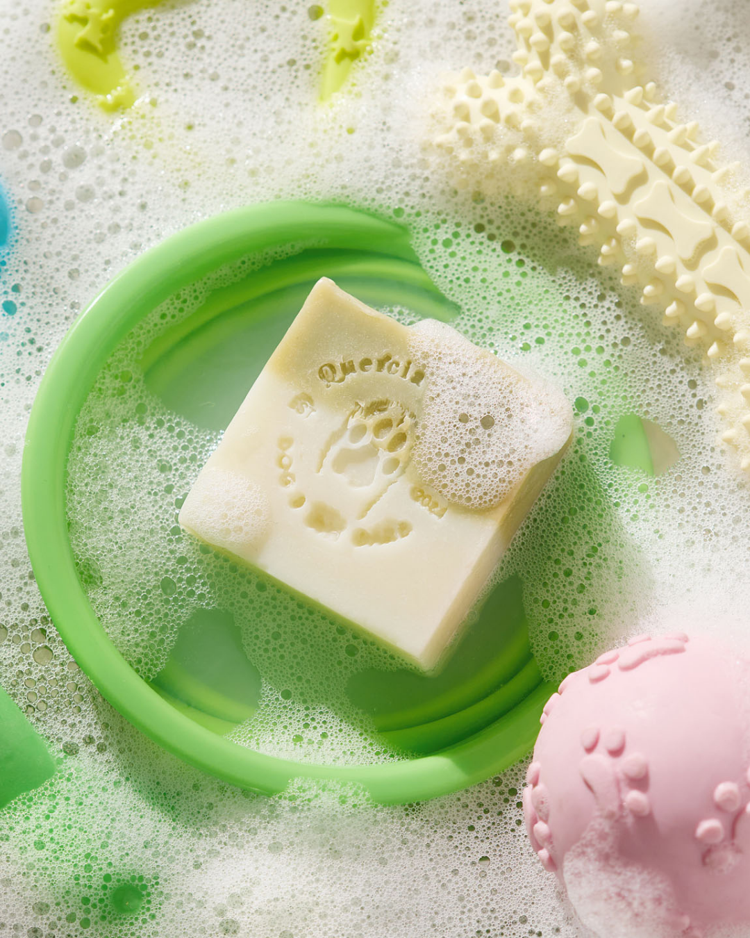 La Ciotola: Il Segreto per una Pulizia da 10 e Lode