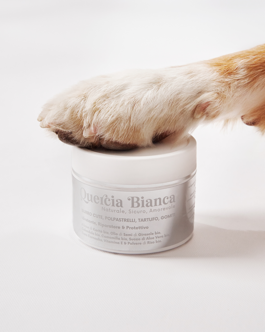 L'Unico Paio di "Scarpe" del Tuo Amico a Quattro Zampe: Come prendersi cura dei Polpastrelli