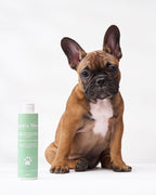 Shampoo Nuvola cuccioli