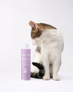 Shampoo universale pelo perfetto