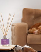 Mikado Lavanda & Natura