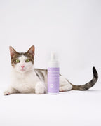 PREORDINE Mousse 2-in-1: Zampe e Manto