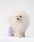 PREORDINE Mousse 2-in-1: Zampe e Manto