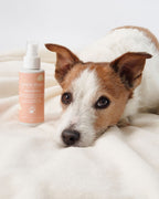 Profumo per manto alla pesca esotica