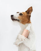 Profumo per manto alla pesca esotica