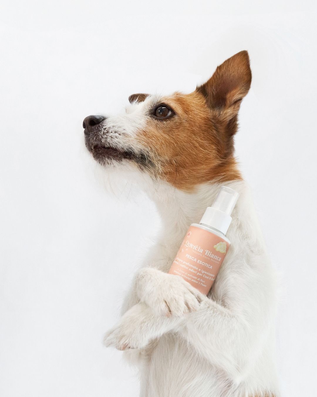 Profumo per manto alla pesca esotica