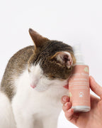 Profumo per manto alla pesca esotica