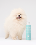 PREORDINE Shampoo GLOSS manti chiari