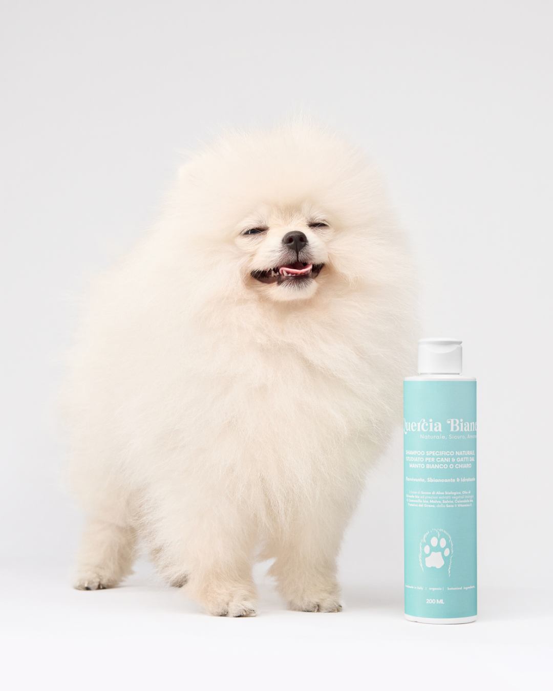 PREORDINE Shampoo GLOSS manti chiari