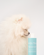 PREORDINE Shampoo GLOSS manti chiari