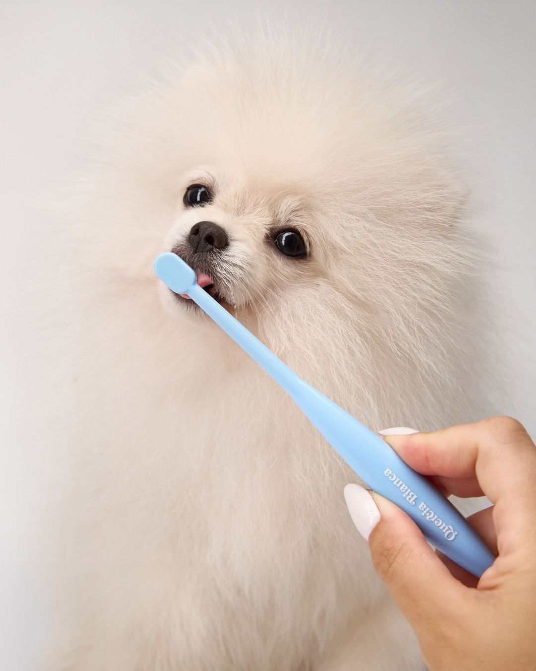 Spazzolino Cute, Denti, Oftalmico | Giotto