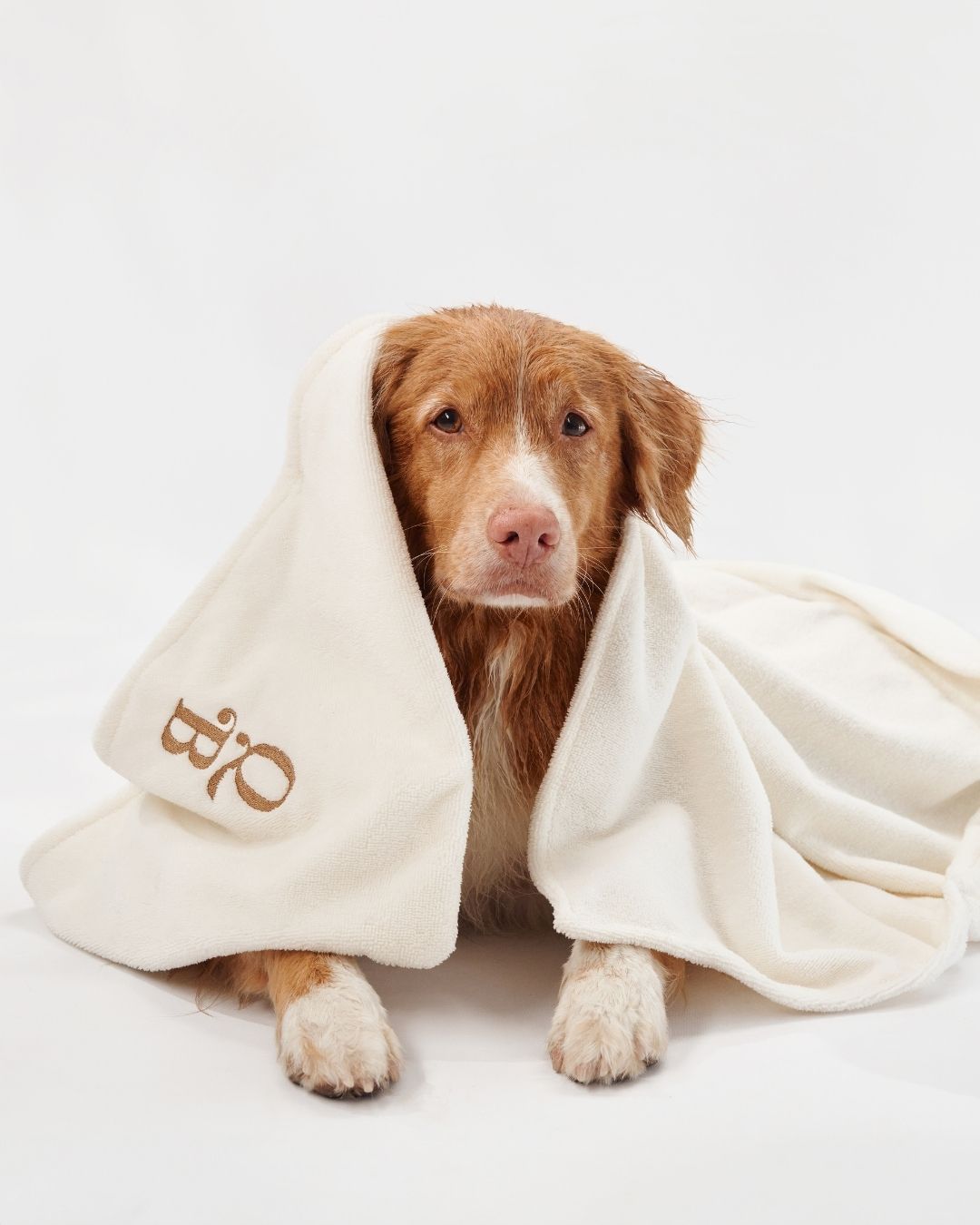 Asciugamano in Bambù | Ulisse