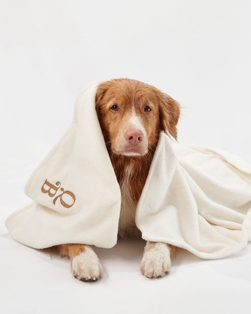 Asciugamano in Bambù | Ulisse