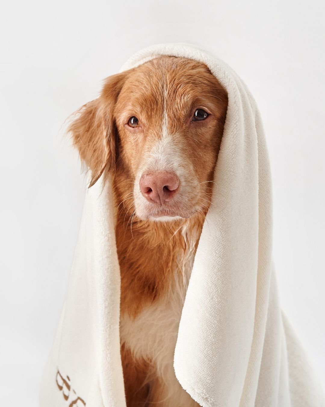 Asciugamano in Bambù | Ulisse