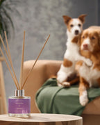 Mikado Lavanda & Natura