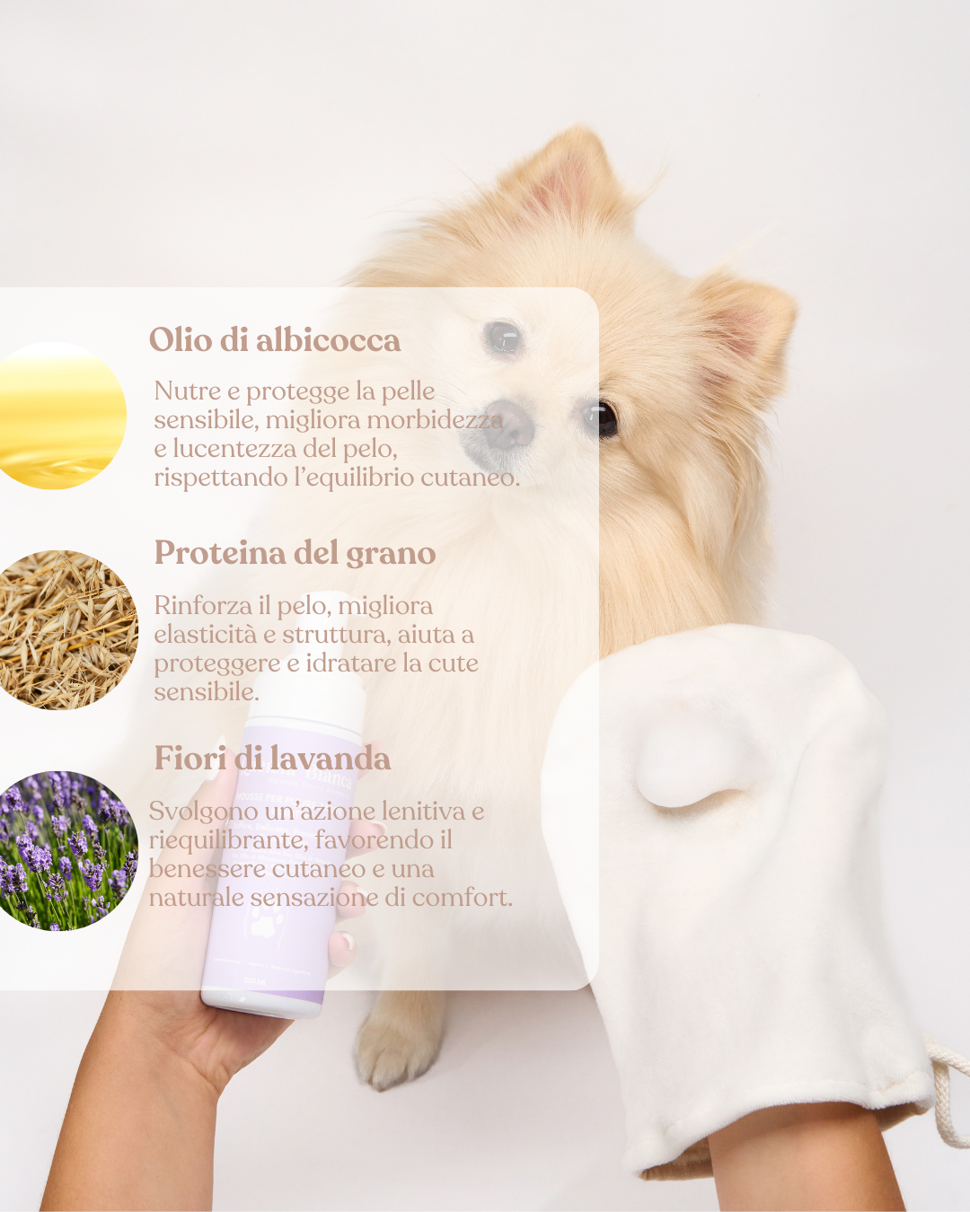 Mousse Detergente per le Zampe e Manto