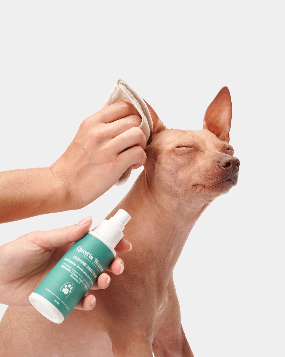 Kit essenziale per la cura giornaliera delle orecchie | Lozione Detergente Orecchie + Mini Asciugamano in mussola