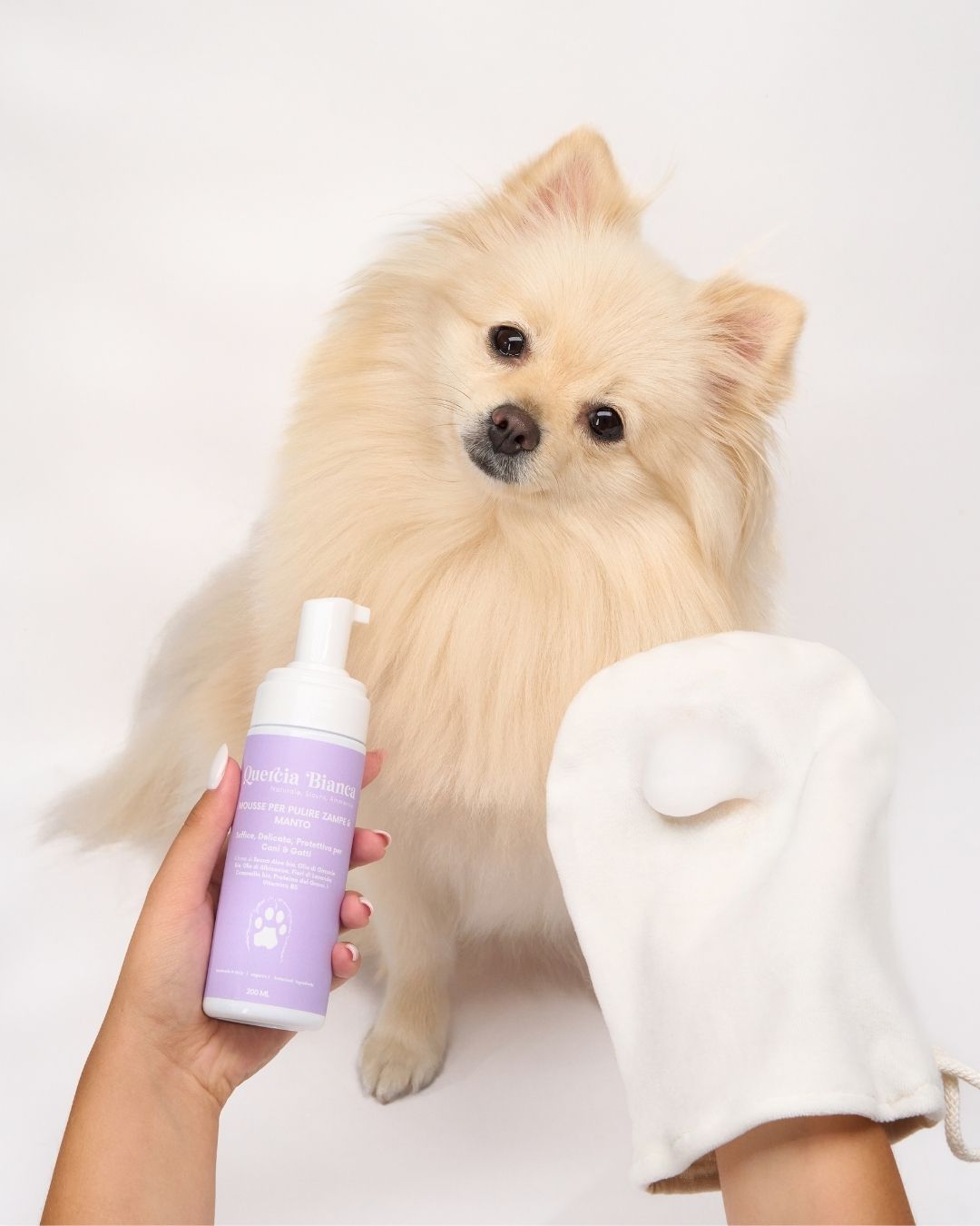 Guanto Pulizia Zampe e Manto | Botticelli