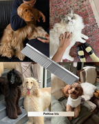 Pettine Iris - pelo lungo