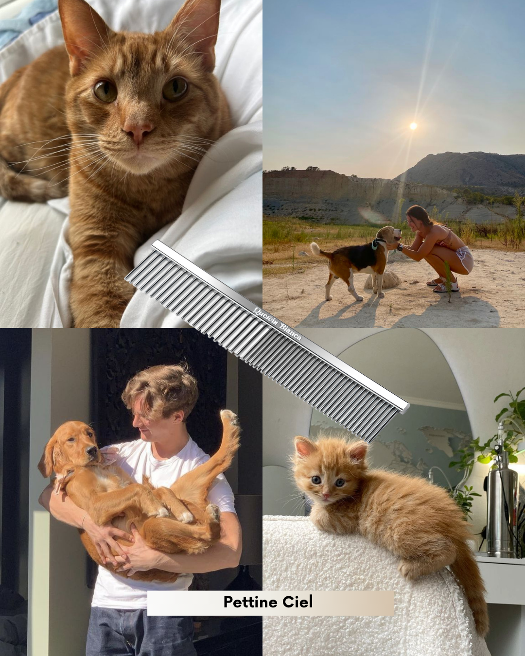 Pettine Ciel - pelo corto