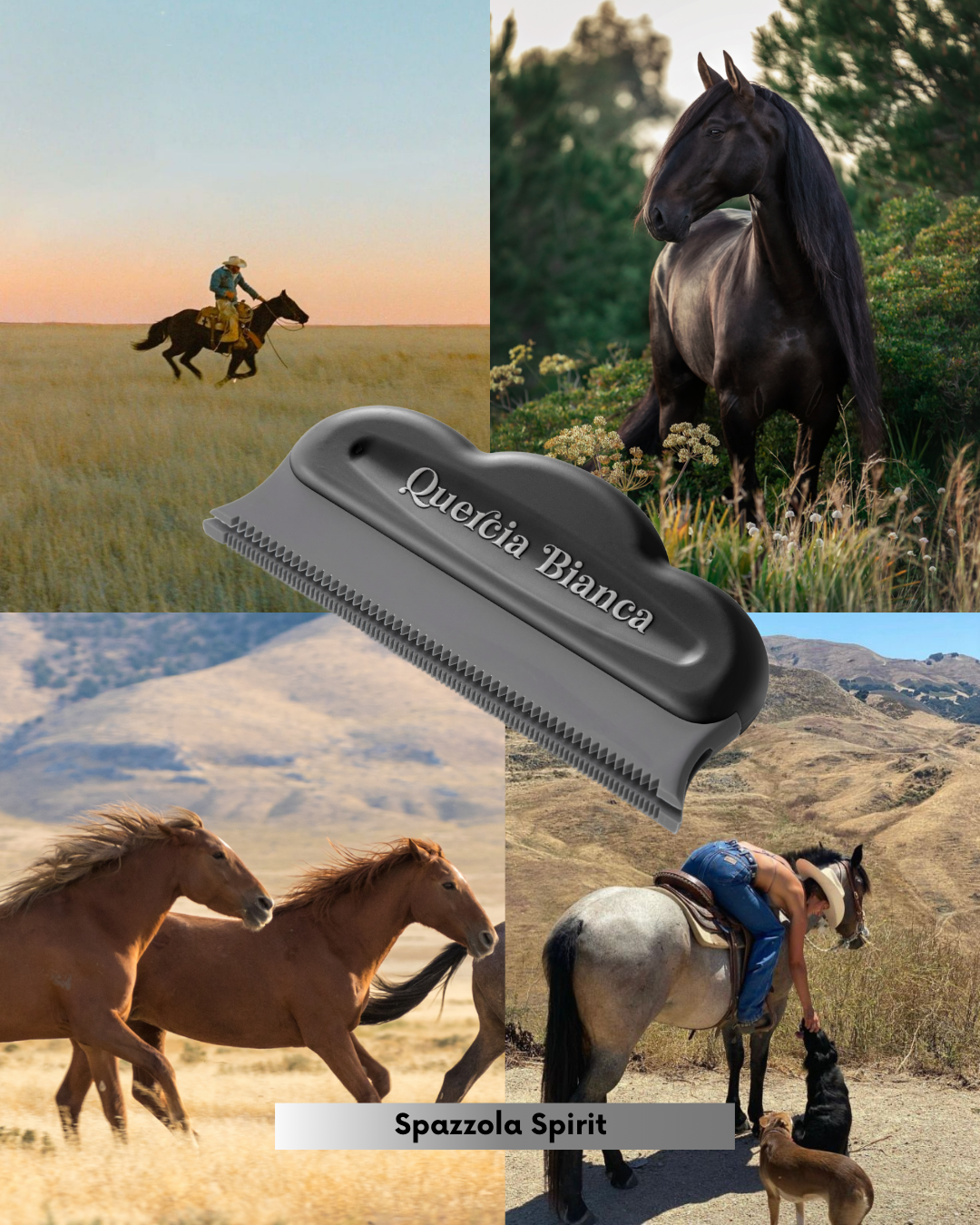 PREORDINE Spazzola Spirit