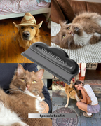 PREORDINE Spazzola Scarlet