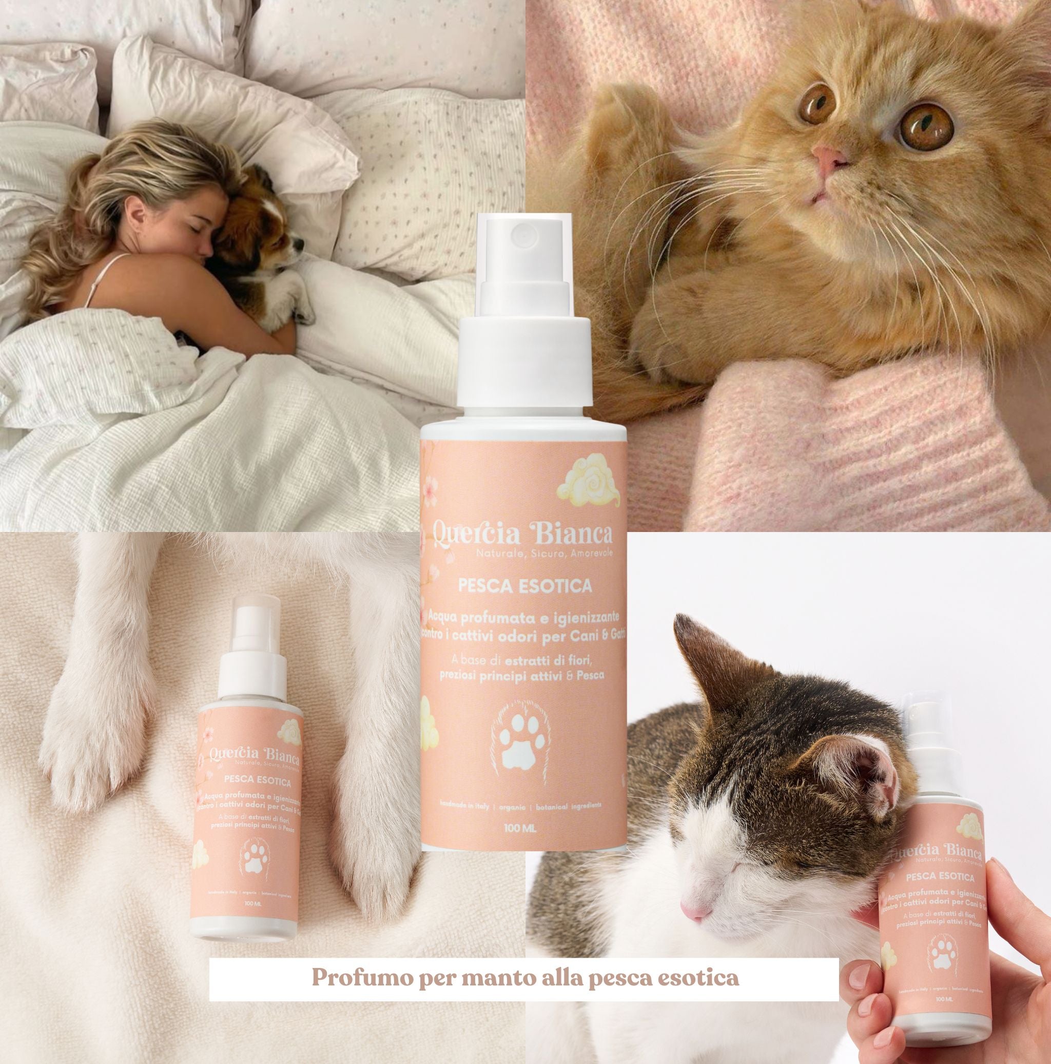 Profumo per Animali Domestici e Igienizzante Manto | La Primavera