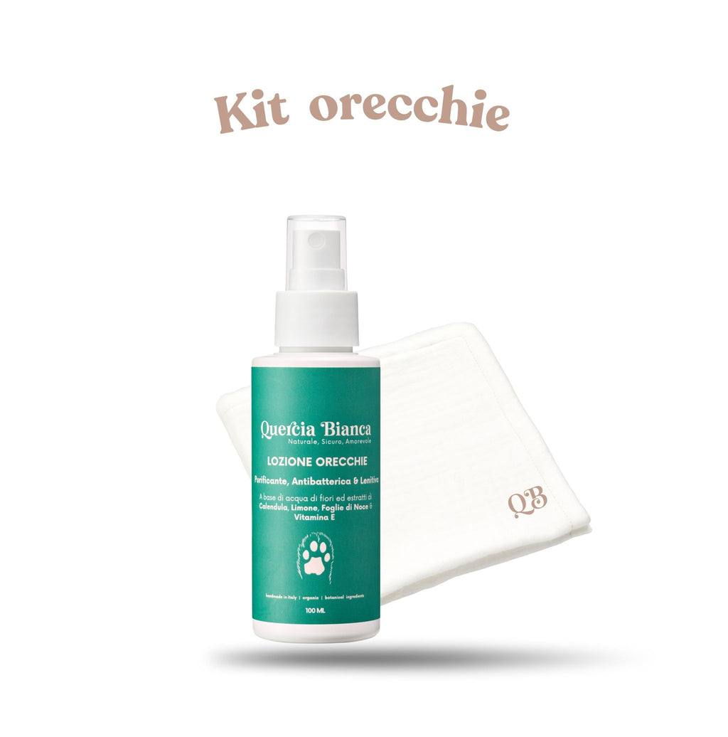 Kit orecchie