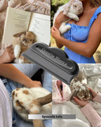 PREORDINE Spazzola Lola