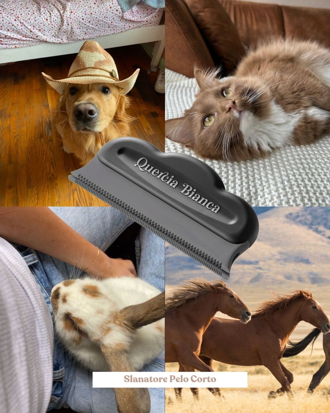 Slanatore per Pelo Corto | Michelangelo